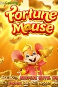 Fortune Mousse en KL7 COM